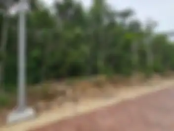 Propiedad PALATIMA06 Imagen 01fachada_terreno_altai_cancun_palatima06.jpg