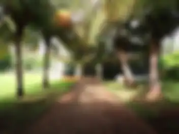 Propiedad MADRILU23 Imagen 01entrada_casa_colegios_cancun_madrilu23.jpg