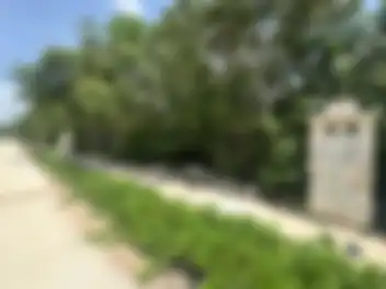 Propiedad HOLSAN Imagen 02terreno_terreno_losantos_cancun_holsan.jpg