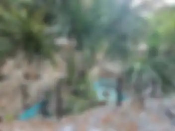 Propiedad PUNVISMAC Imagen 03puente_terreno_puntavista_puerto_morelos_punvismac.jpg