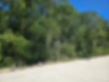 Propiedad BAKMA Imagen 02fachada_terrenobak_tulum_bakma.jpg