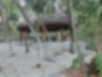 Propiedad PUNVISMAC Imagen 04palapa_terreno_puntavista_puerto_morelos_punvismac.jpg