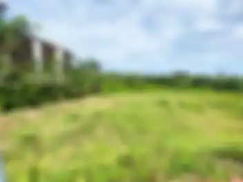 Propiedad  LAGUDUL  Imagen 03terreno_terreno_puerto_cancun_lagudul.jpg