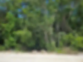 Propiedad BAKMA Imagen 01fachada_terrenobak_tulum_bakma.jpg