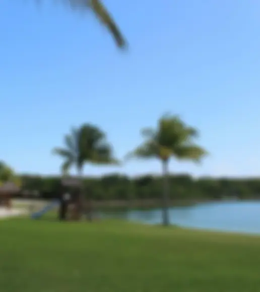 Propiedades Cancún Search Propiedades Backgroud
