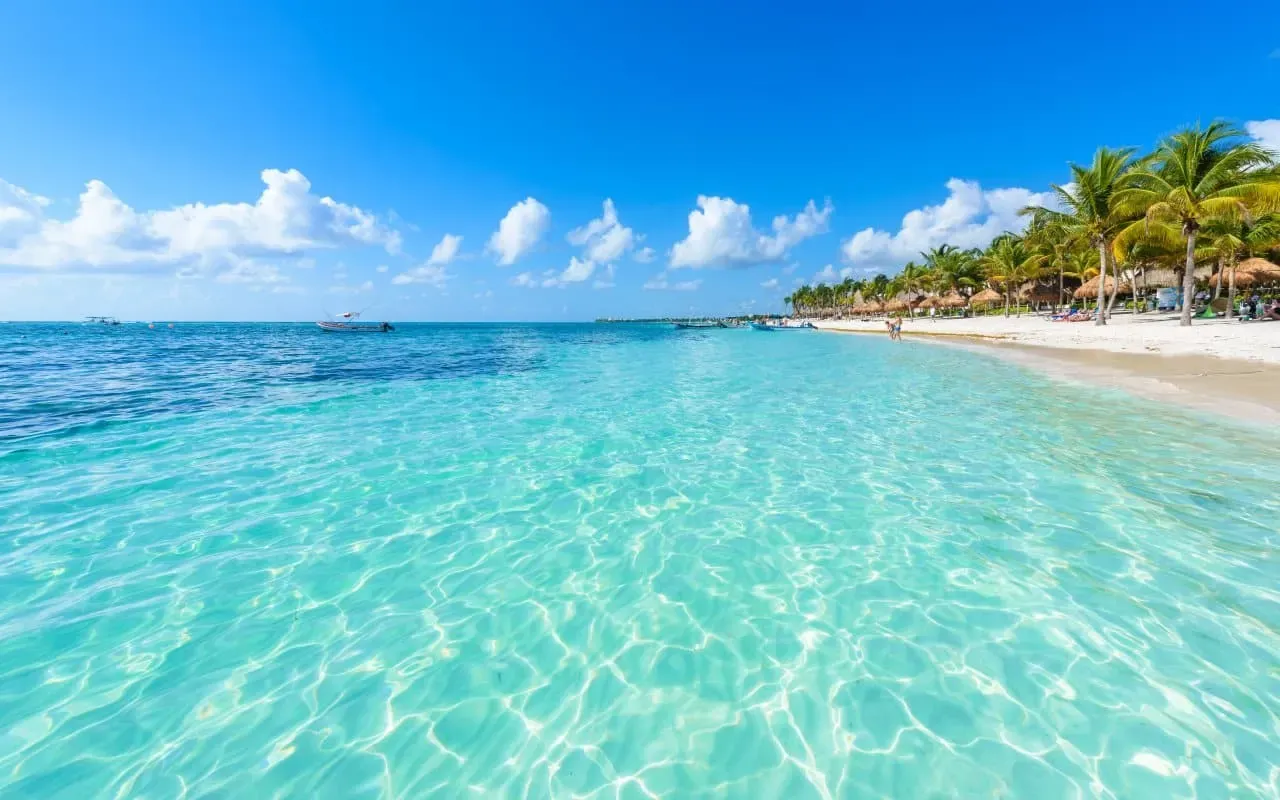 Imagen representativa de Vive a minutos de la playa